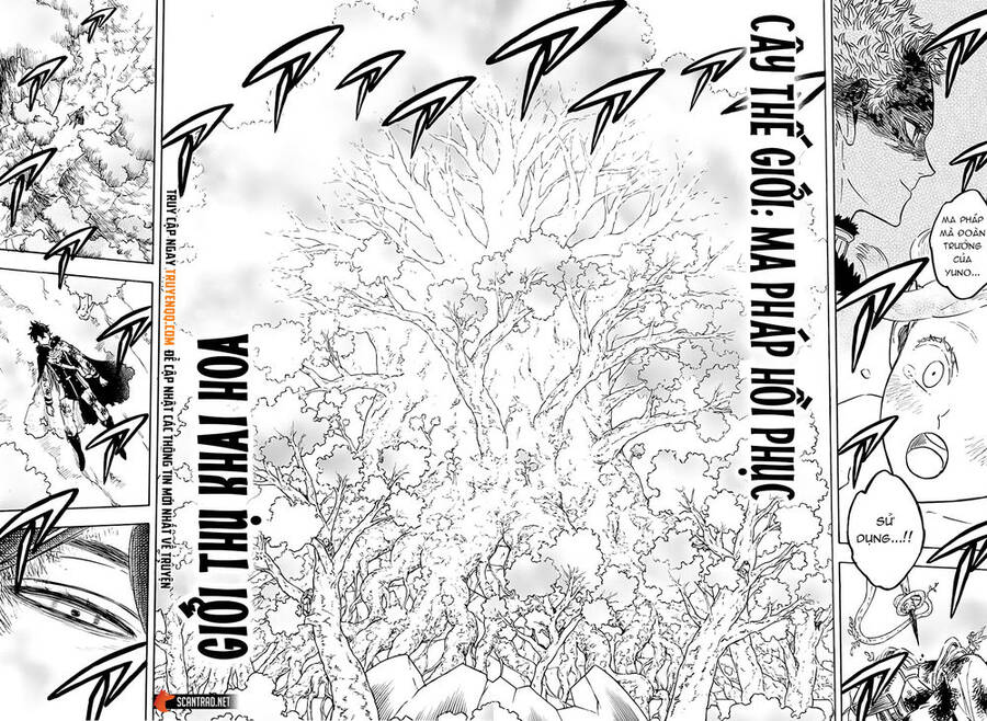 Black Clover - Thế Giới Phép Thuật Chap 239 - Next Chap 240