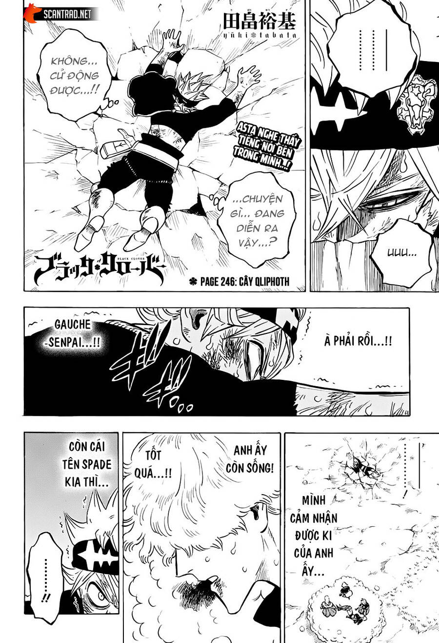 Black Clover - Thế Giới Phép Thuật Chap 246 - Next Chap 247