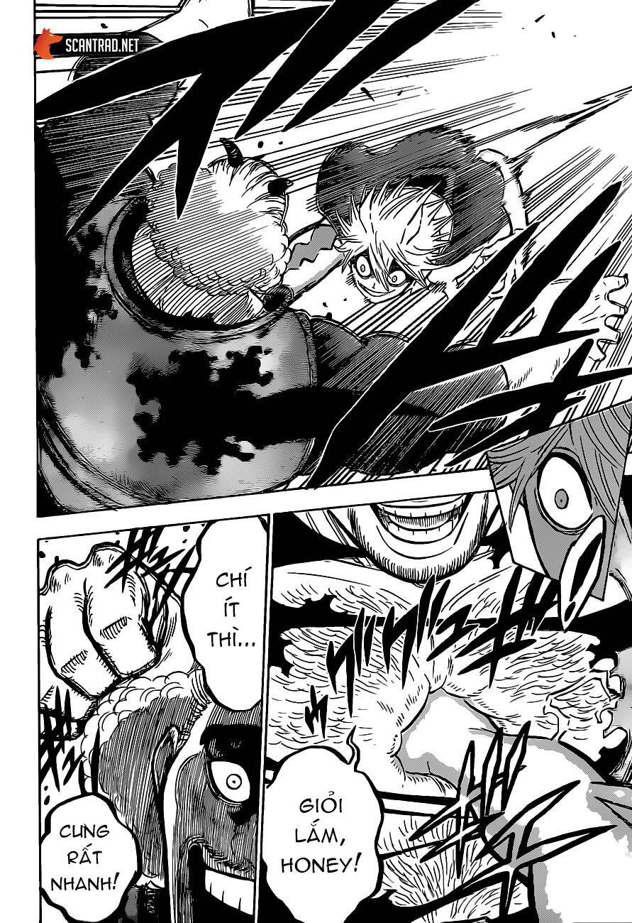 Black Clover - Thế Giới Phép Thuật Chap 247 - Next Chap 248