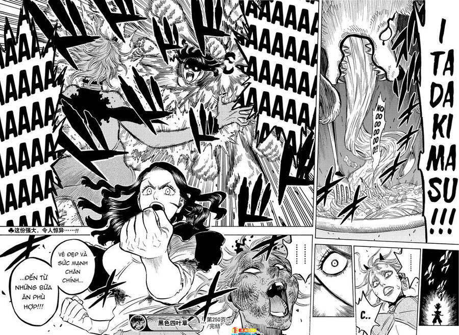 Black Clover - Thế Giới Phép Thuật Chap 250 - Next Chap 251