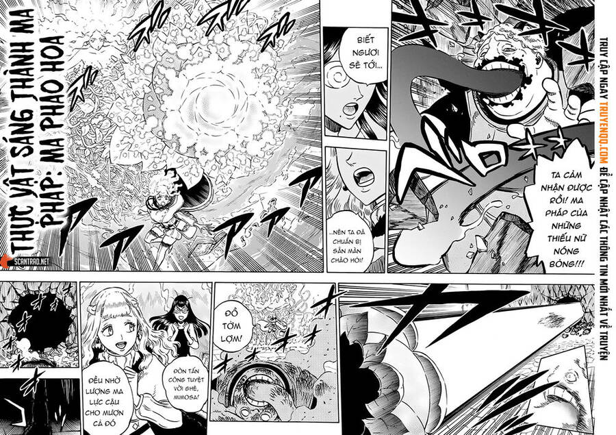 Black Clover - Thế Giới Phép Thuật Chap 251 - Next Chap 252