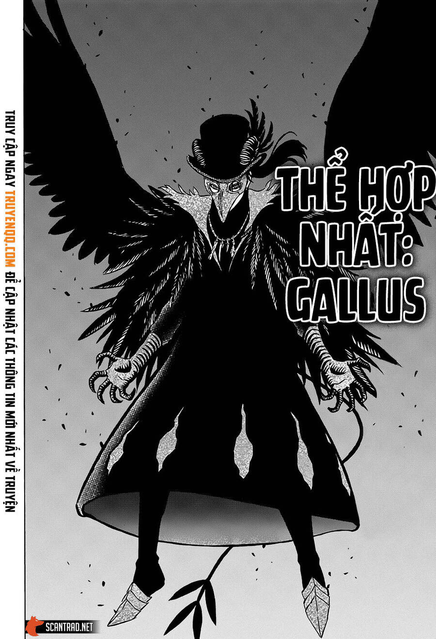 Black Clover - Thế Giới Phép Thuật Chap 285 - Next Chap 286