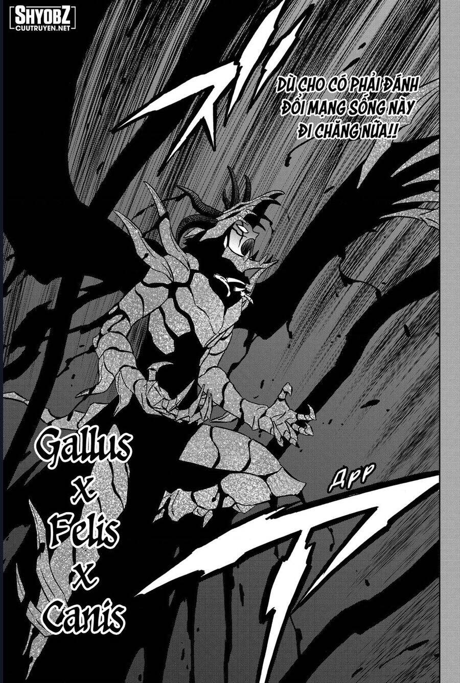Black Clover - Thế Giới Phép Thuật Chap 375 - Next Chap 376