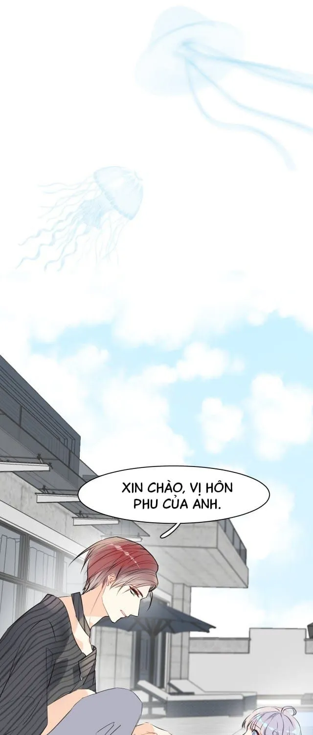 Bộ Váy Của Nàng Tiên Cá Chap 0.2 - Next Chap 1.2