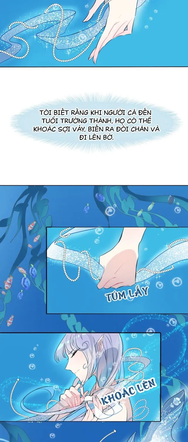 Bộ Váy Của Nàng Tiên Cá Chap 1 - Next Chap 2