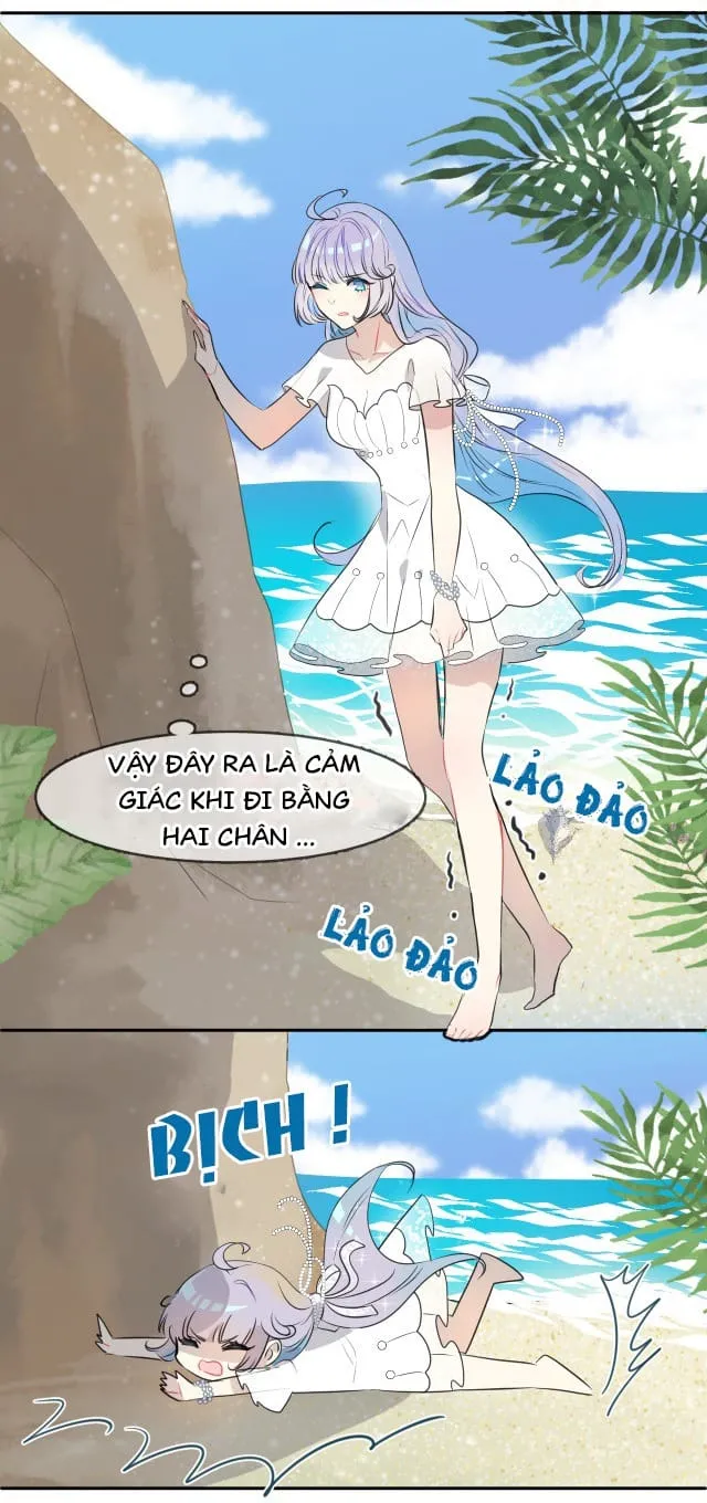 Bộ Váy Của Nàng Tiên Cá Chap 1 - Next Chap 2