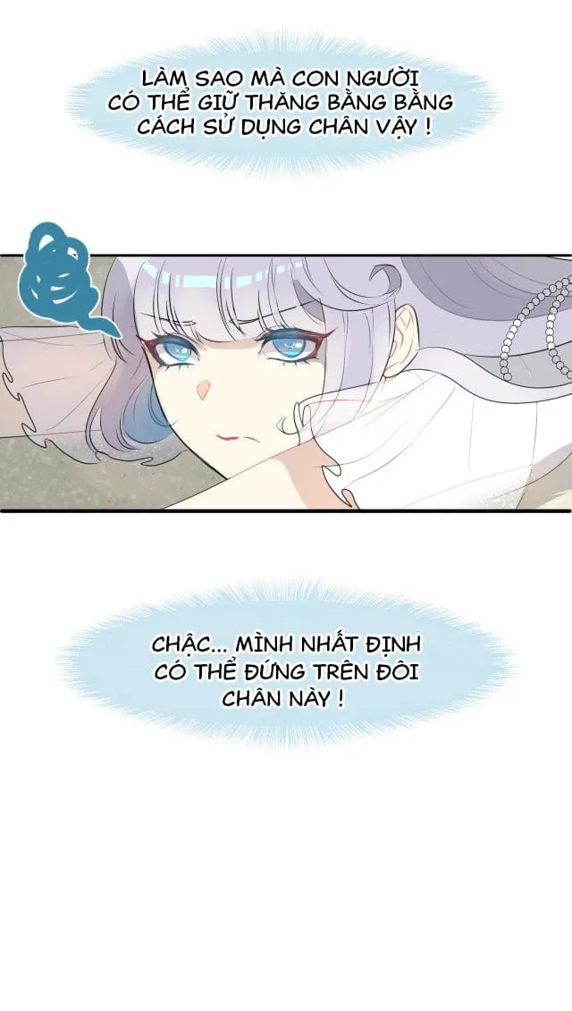 Bộ Váy Của Nàng Tiên Cá Chap 1 - Next Chap 2