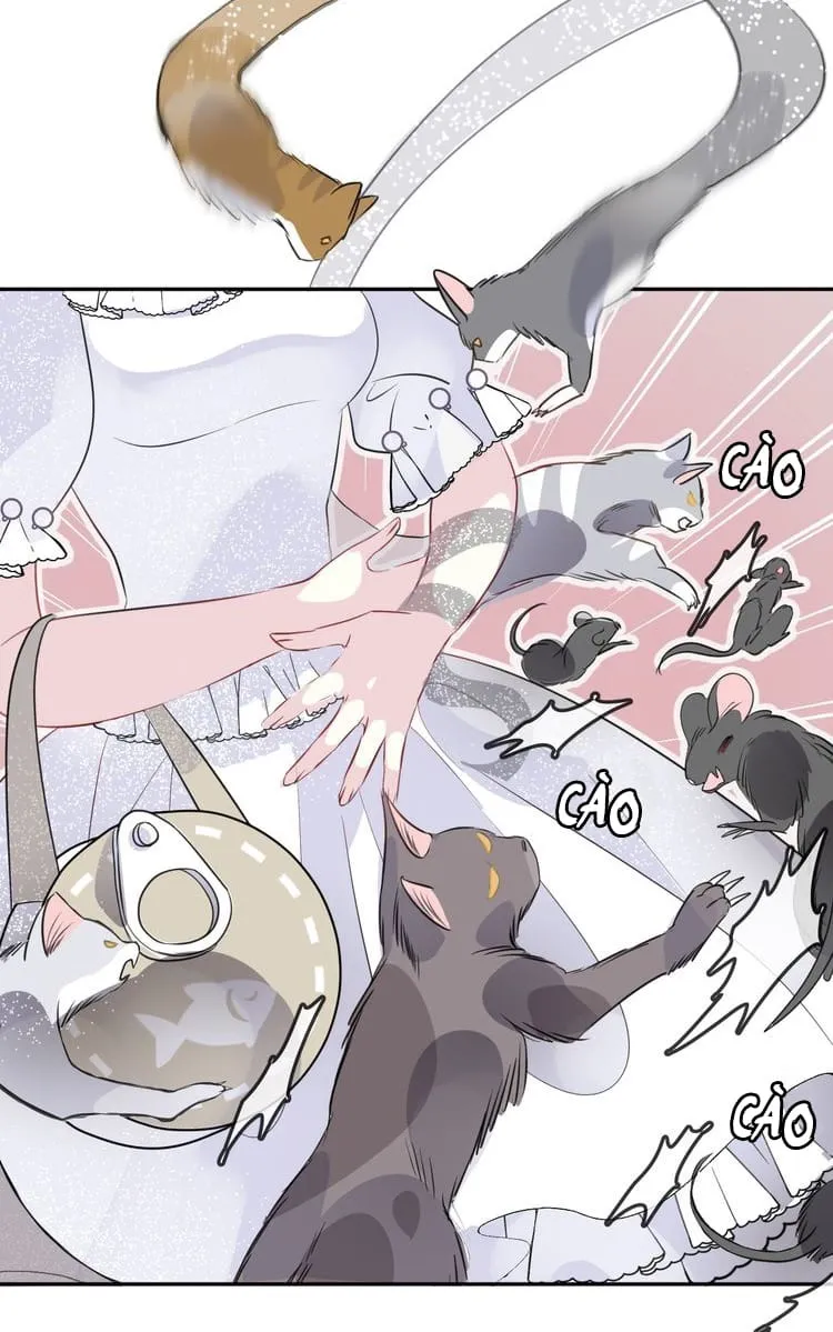 Bộ Váy Của Nàng Tiên Cá Chap 10 - Next Chap 11