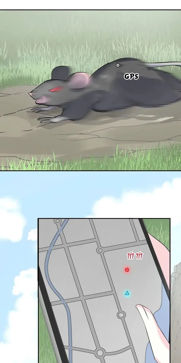 Bộ Váy Của Nàng Tiên Cá Chap 12 - Next Chap 13