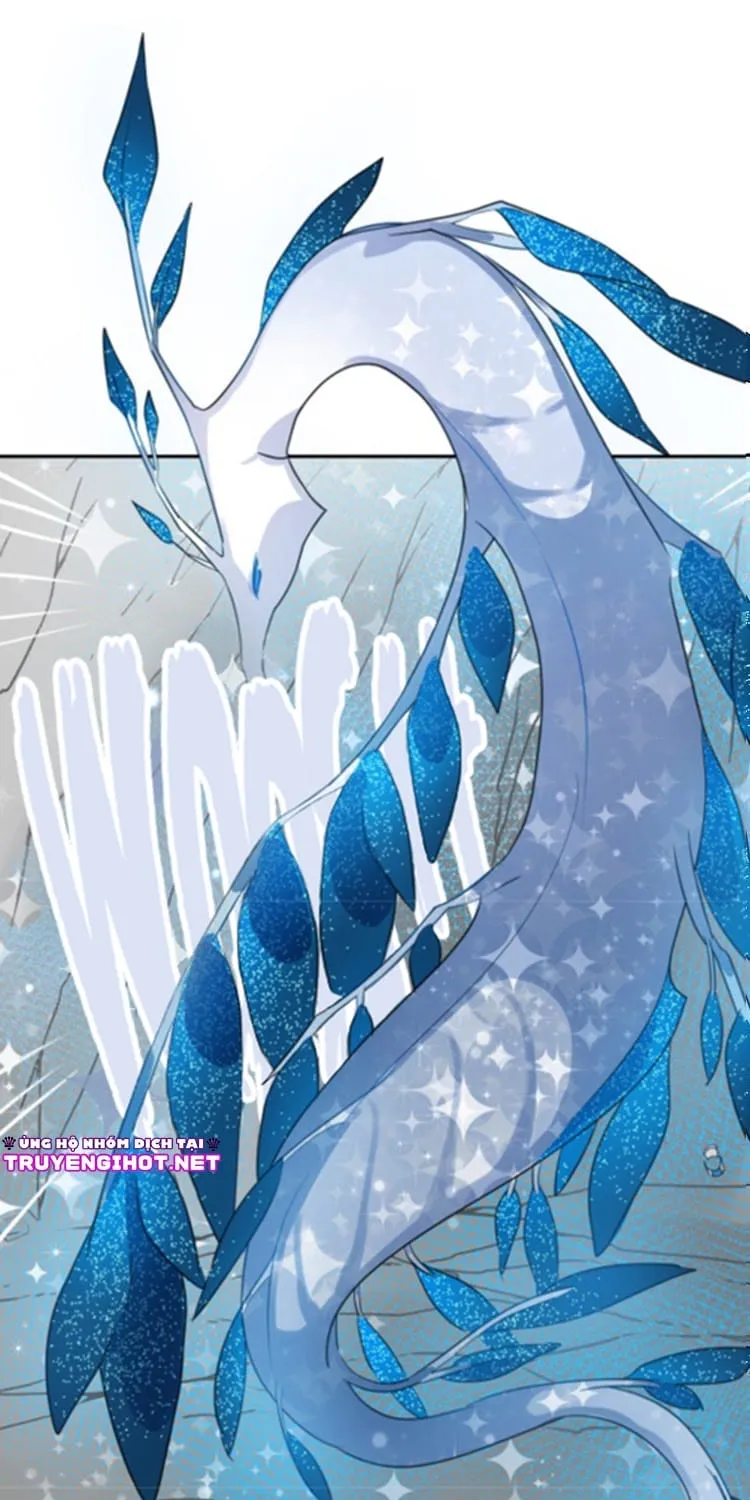 Bộ Váy Của Nàng Tiên Cá Chap 13 - Next Chap 14