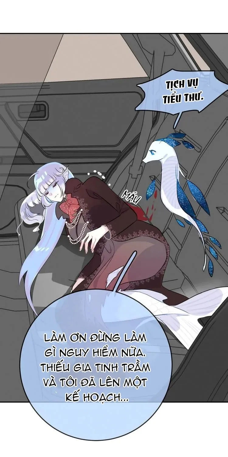 Bộ Váy Của Nàng Tiên Cá Chap 13 - Next Chap 14