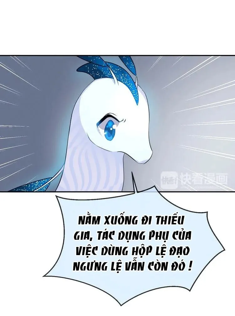 Bộ Váy Của Nàng Tiên Cá Chap 15 - Next Chap 16