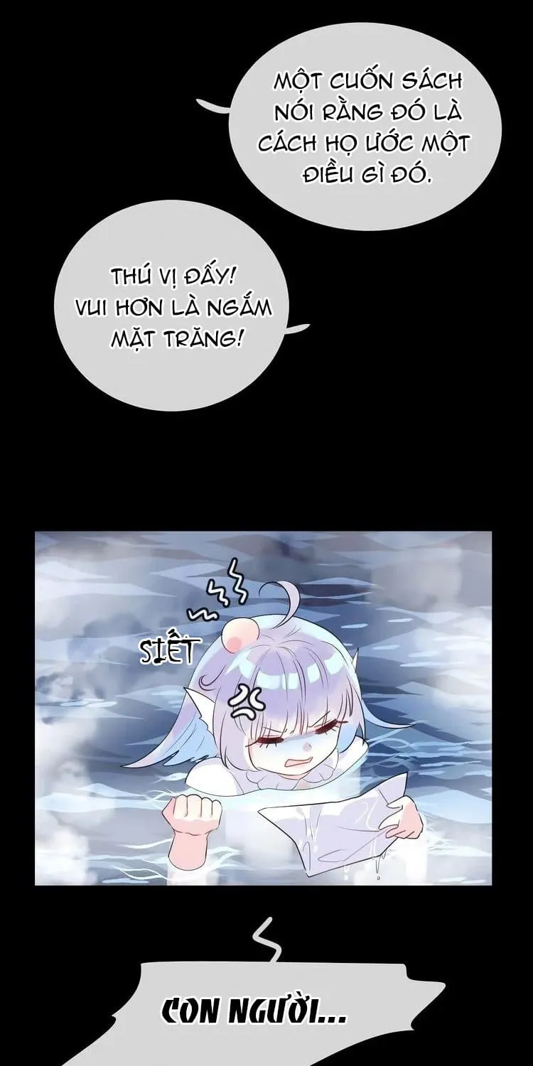 Bộ Váy Của Nàng Tiên Cá Chap 16 - Next Chap 17