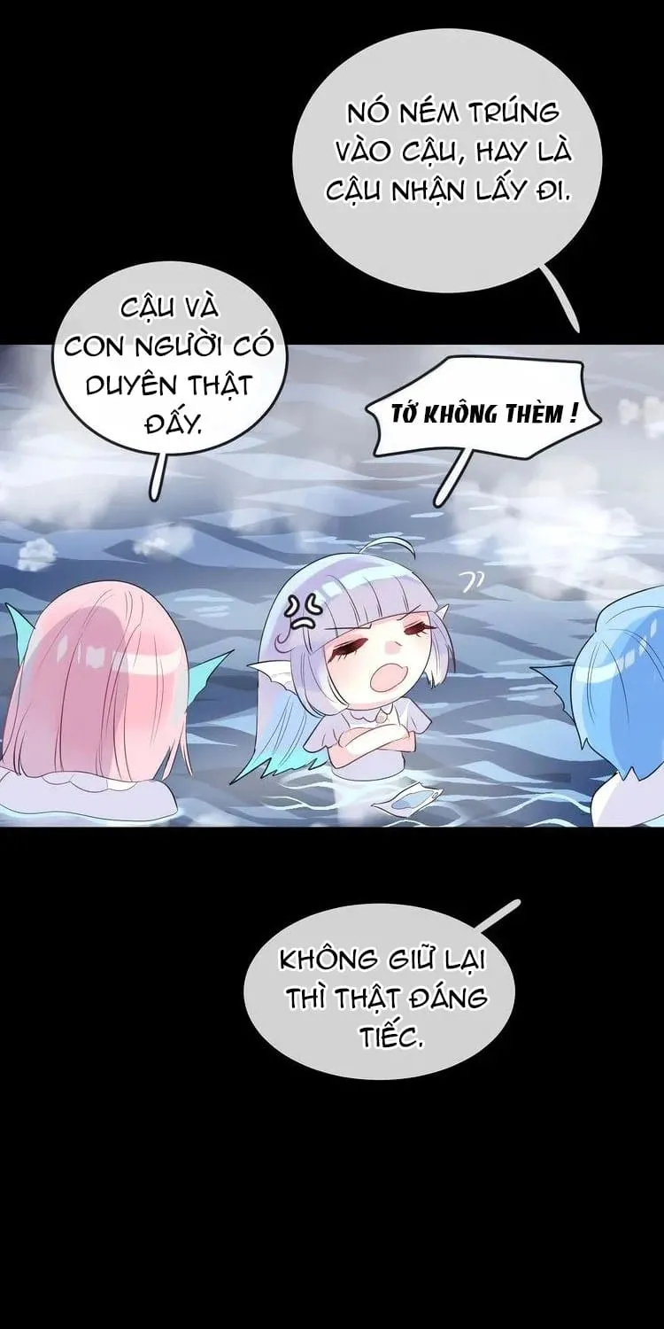 Bộ Váy Của Nàng Tiên Cá Chap 16 - Next Chap 17