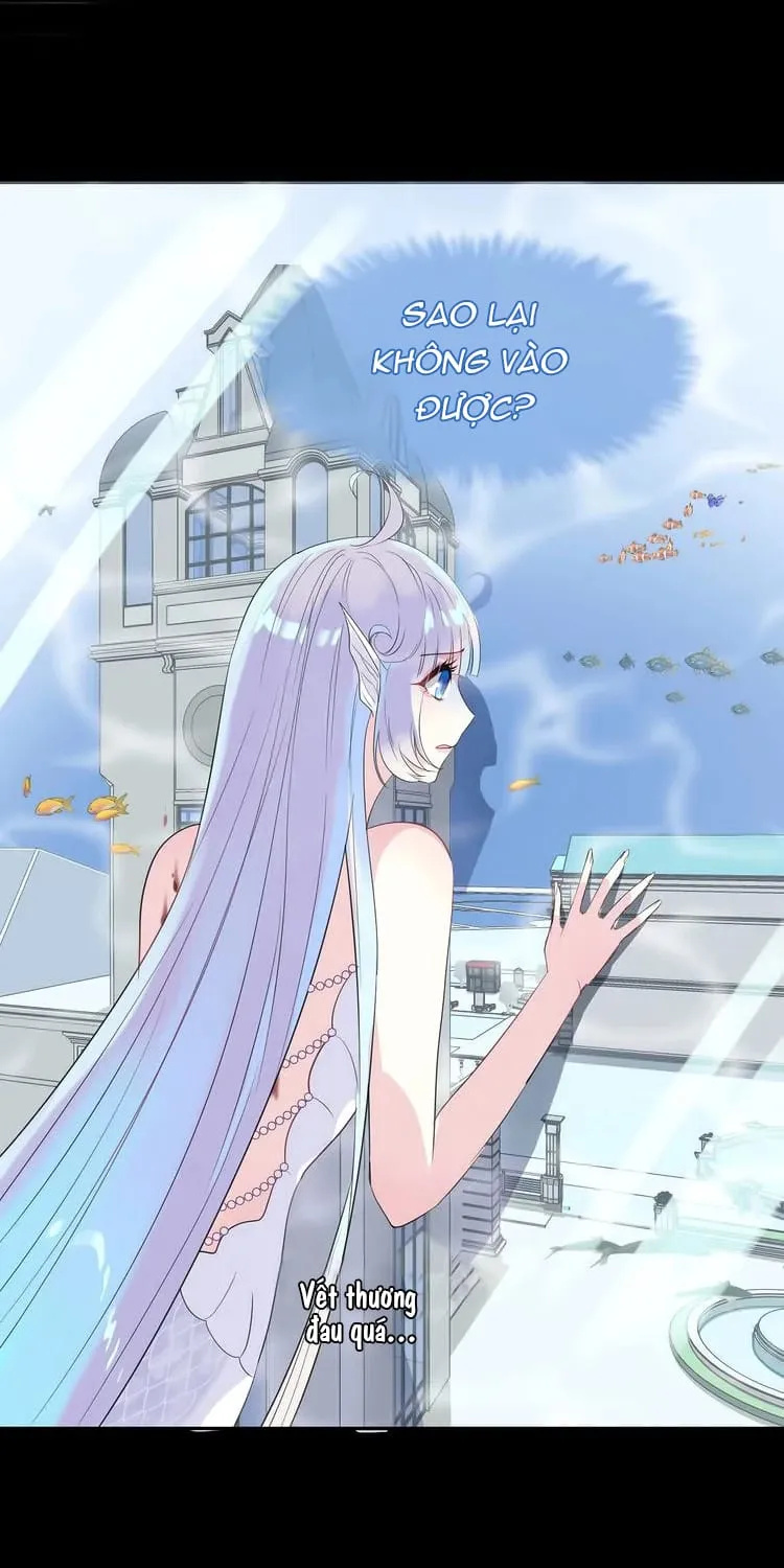 Bộ Váy Của Nàng Tiên Cá Chap 18 - Next Chap 19