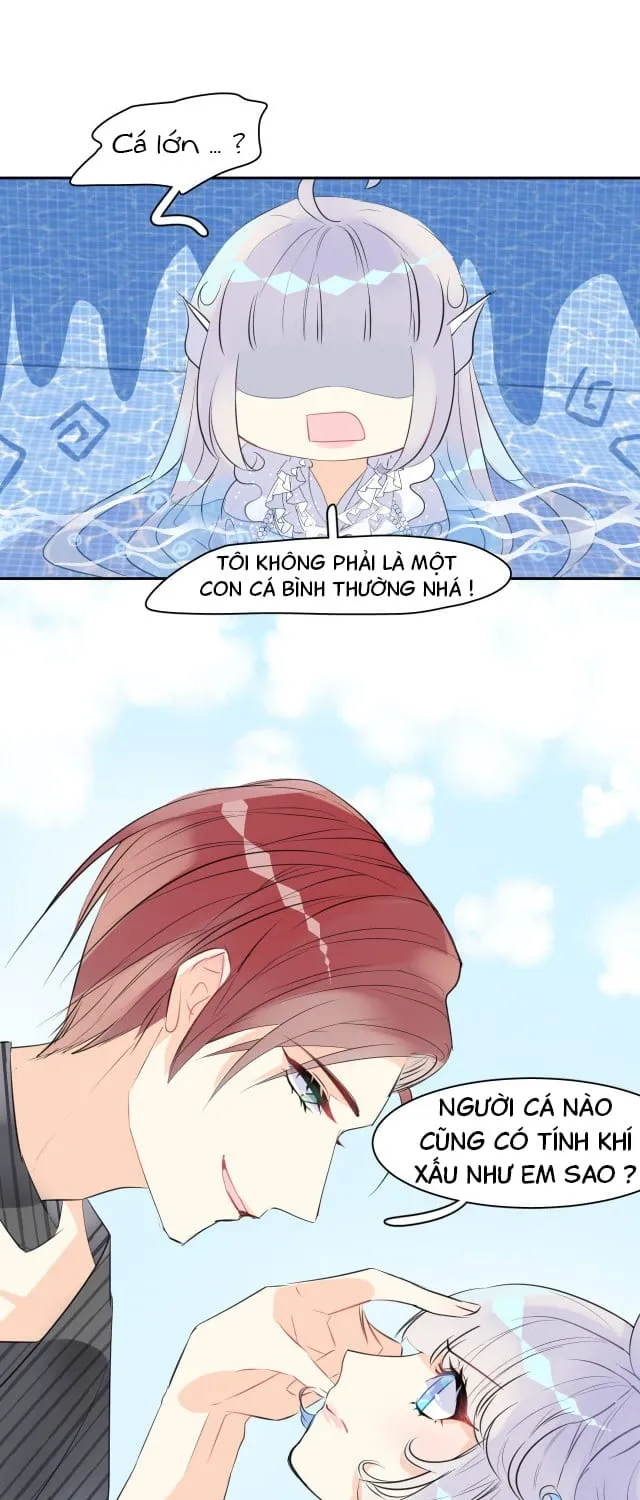 Bộ Váy Của Nàng Tiên Cá Chap 2 - Next Chap 3