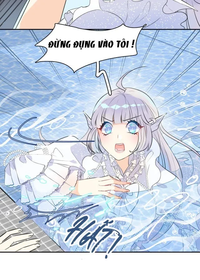 Bộ Váy Của Nàng Tiên Cá Chap 2 - Next Chap 3