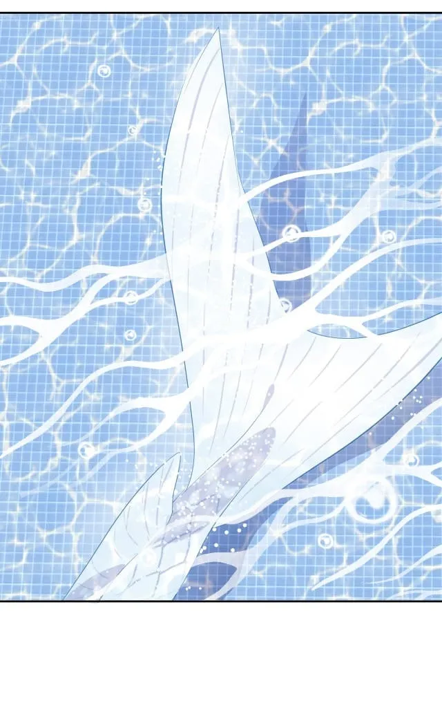 Bộ Váy Của Nàng Tiên Cá Chap 2 - Next Chap 3