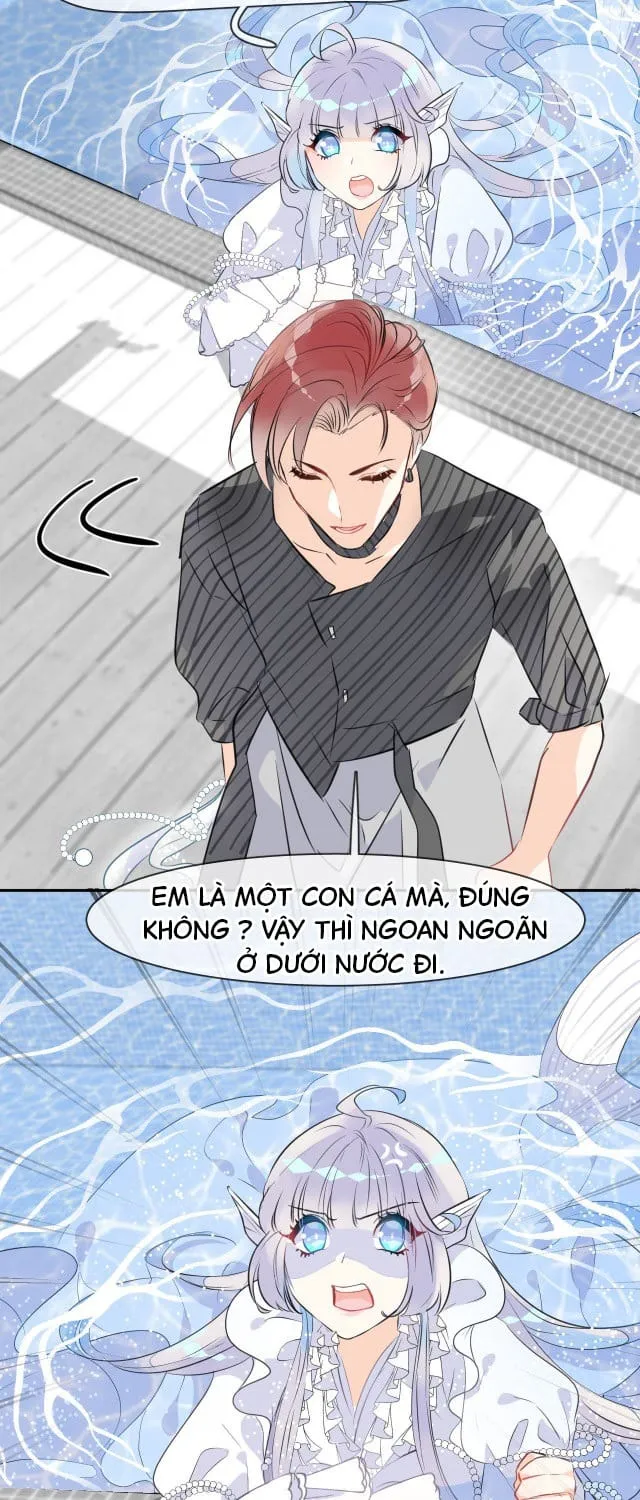 Bộ Váy Của Nàng Tiên Cá Chap 2 - Next Chap 3
