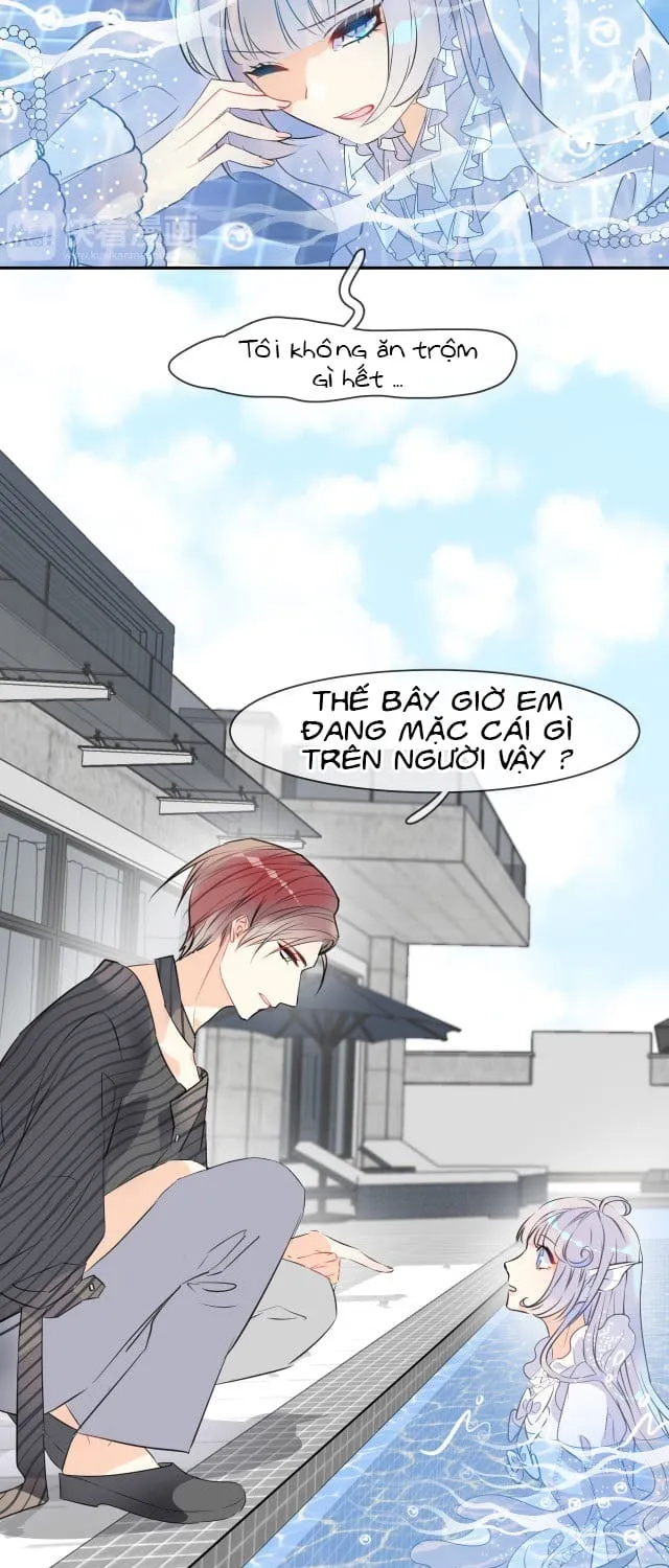 Bộ Váy Của Nàng Tiên Cá Chap 2 - Next Chap 3