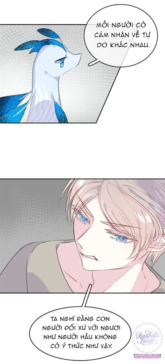 Bộ Váy Của Nàng Tiên Cá Chap 21 - Next Chap 22