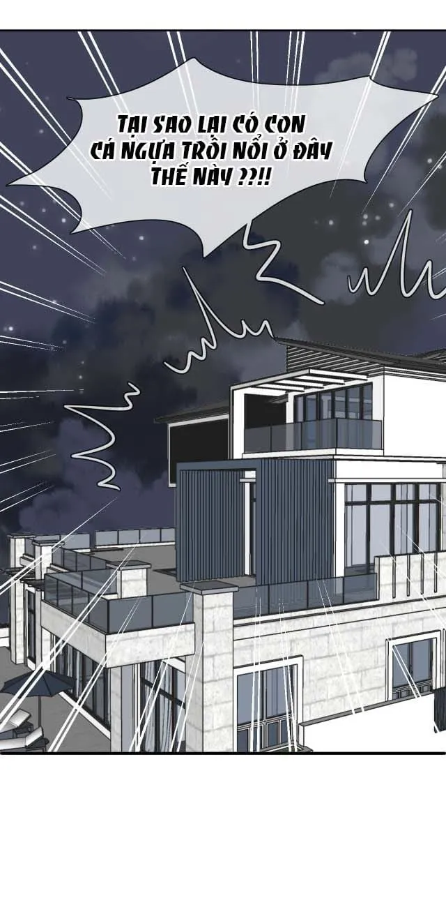 Bộ Váy Của Nàng Tiên Cá Chap 5 - Next Chap 6