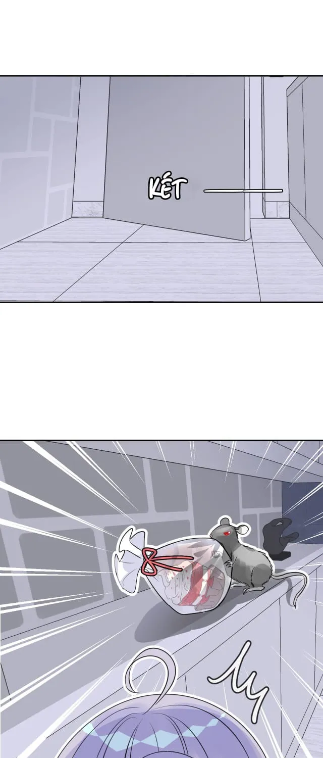 Bộ Váy Của Nàng Tiên Cá Chap 8 - Next Chap 9