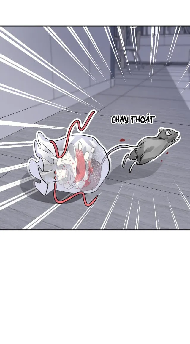 Bộ Váy Của Nàng Tiên Cá Chap 8 - Next Chap 9