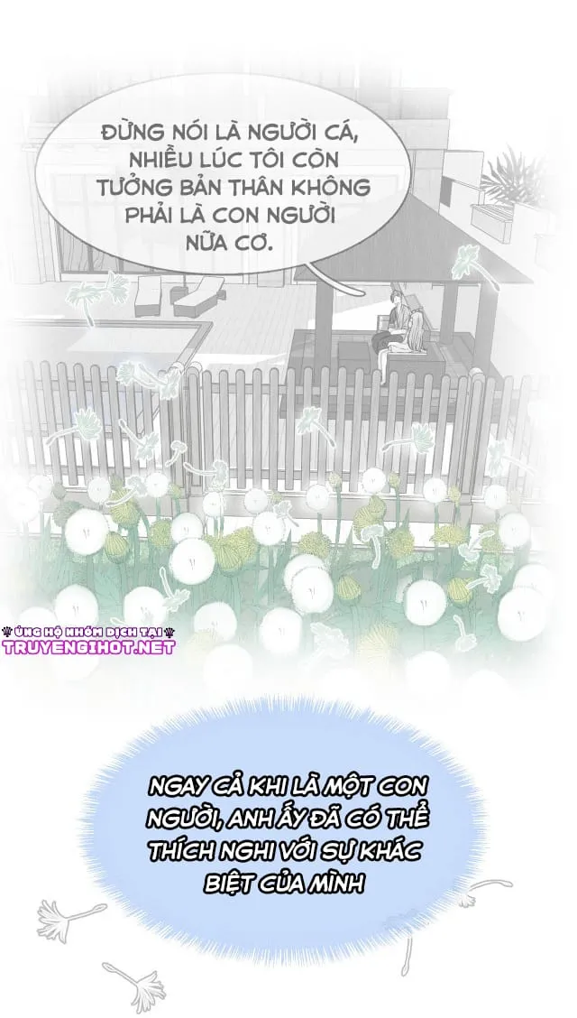 Bộ Váy Của Nàng Tiên Cá Chap 8 - Next Chap 9