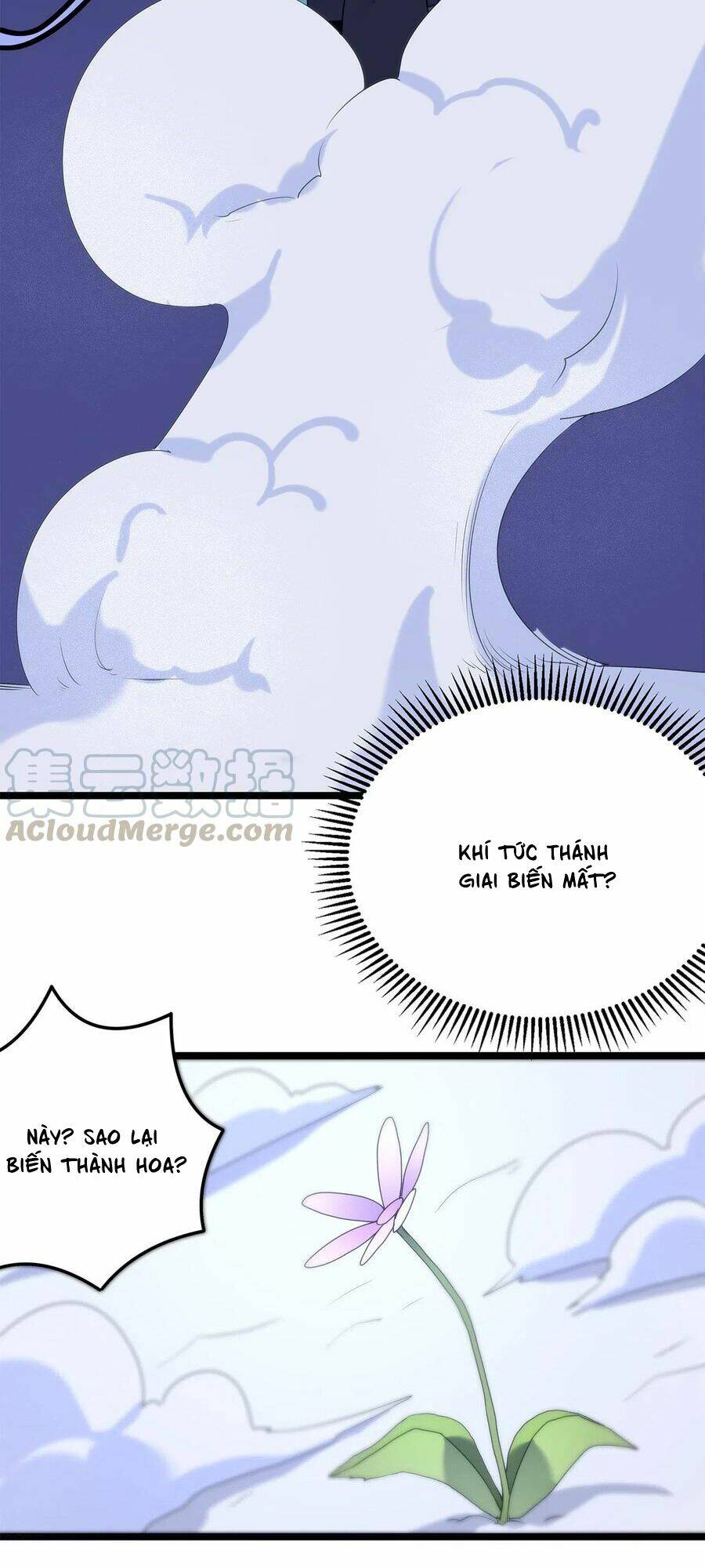 Bổn Thánh Nữ Ngã Bài Rồi Chap 5 - Next Chap 6