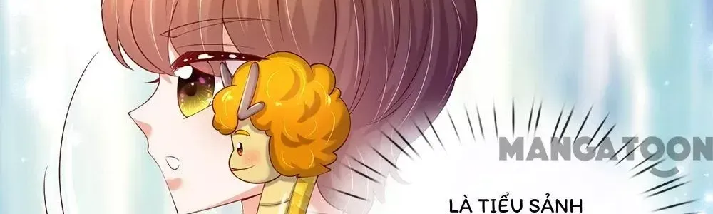 Bỗng Một Ngày Trở Thành Con Gái Nhà Vua Chap 505 - Next Chap 506