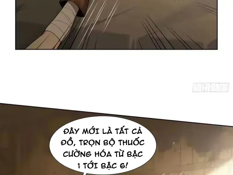 Buôn Bán Thời Tận Thế: Ta Dùng Que Cay Đổi Lấy Vàng Chap 15 - Next Chap 16