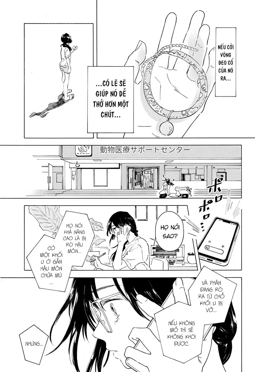 By Your Side: Where Happiness Lives! Chap 0 - Next Chap 1