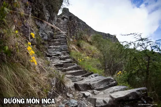 C.m.b - (Hồ Sơ Vụ Án Bảo Tàng Shinra) Chap 20 - Next Chap 21