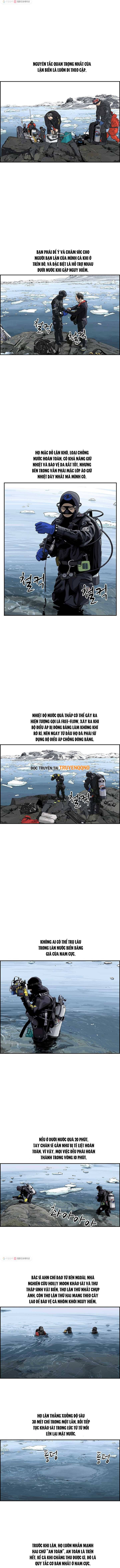 Cá Con (Vảy Cá) Chap 35 - Next Chap 36