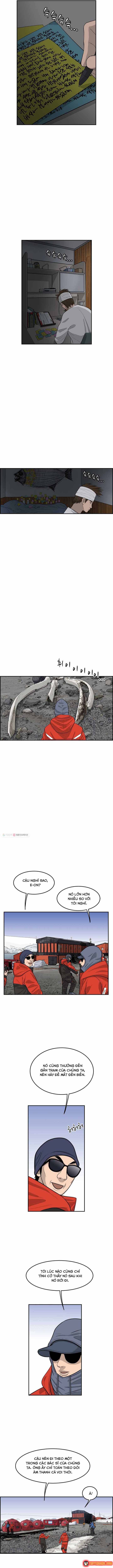 Cá Con (Vảy Cá) Chap 48 - Next Chap 49