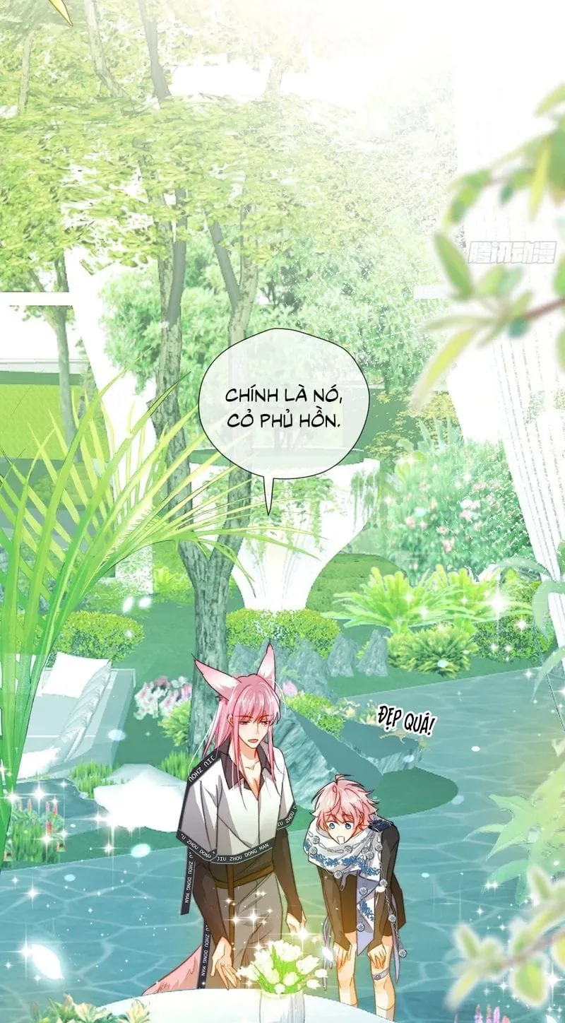 Cả Vũ Trụ Đều Muốn Thân Thiết Với Tôi Chap 22 - Next Chap 23