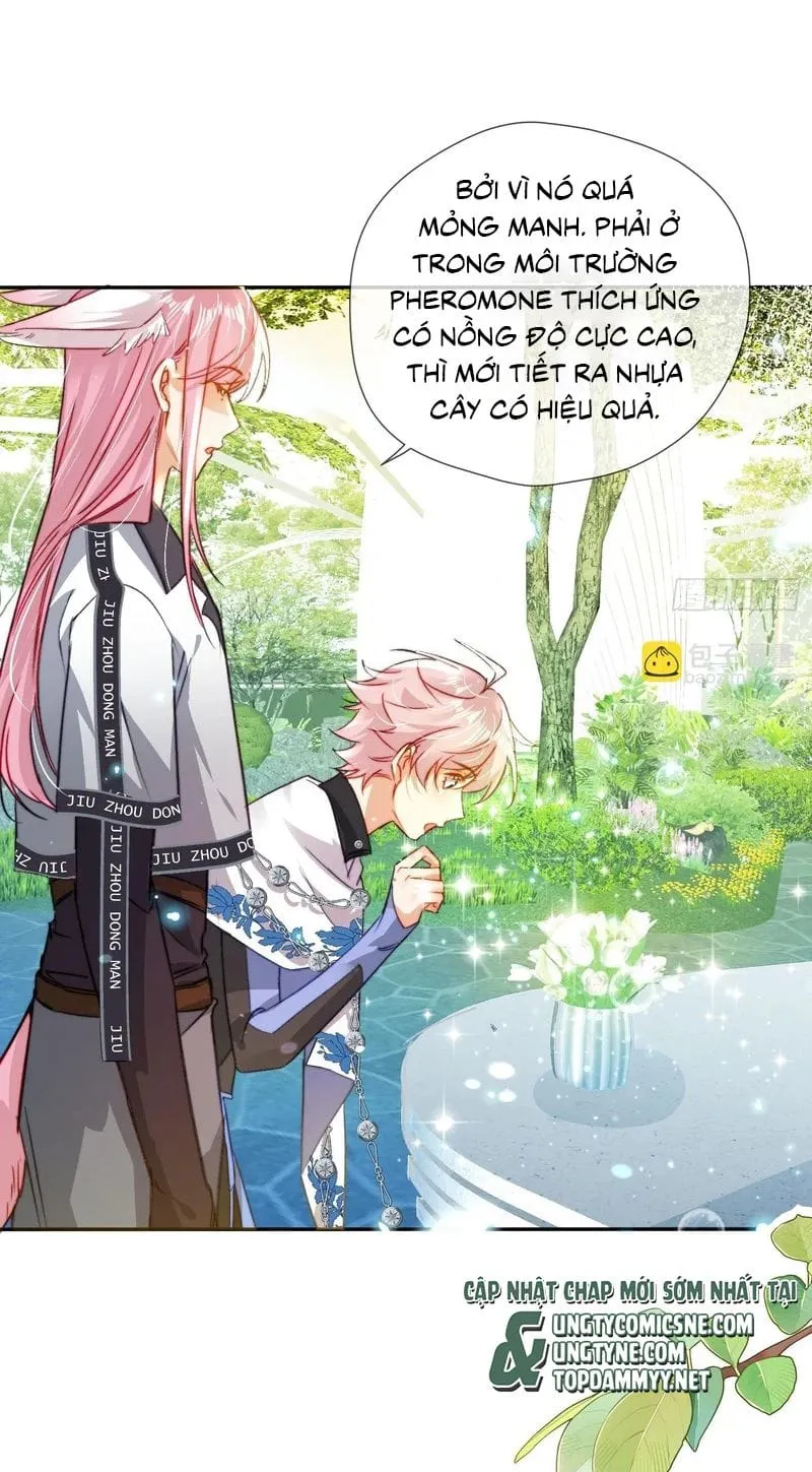 Cả Vũ Trụ Đều Muốn Thân Thiết Với Tôi Chap 22 - Next Chap 23