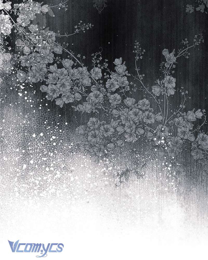 Các Nam Chính Đã Bị Nữ Phụ Cướp Mất Chap 66 - Next Chap 67