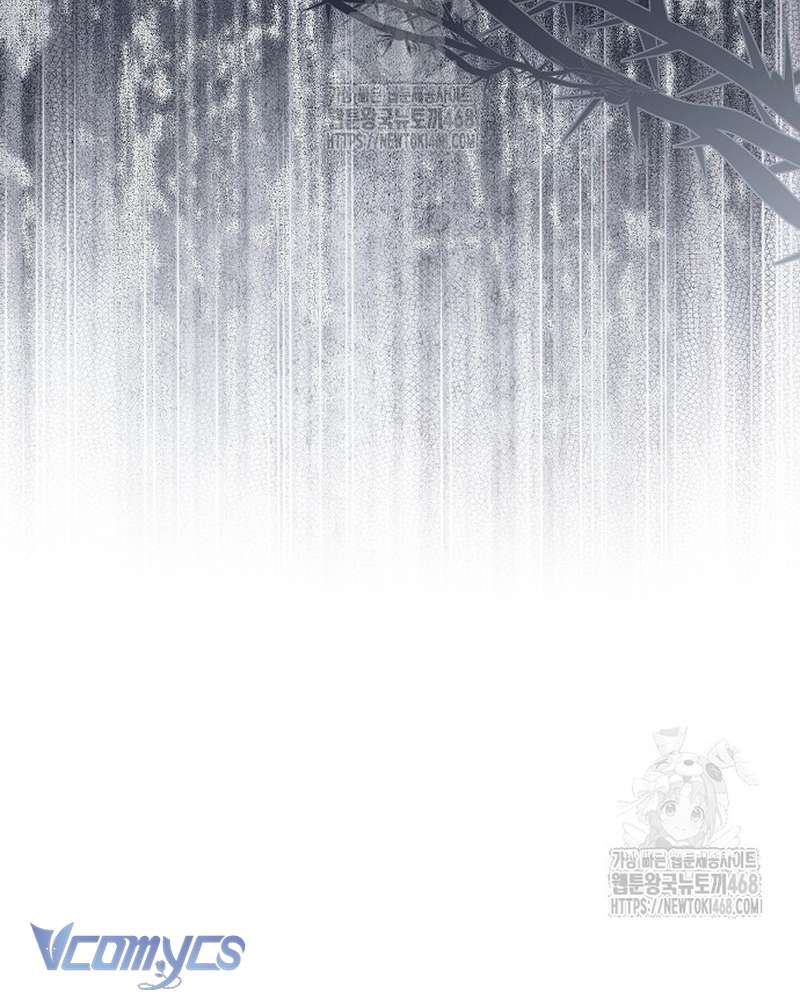 Các Nam Chính Đã Bị Nữ Phụ Cướp Mất Chap 66 - Next Chap 67