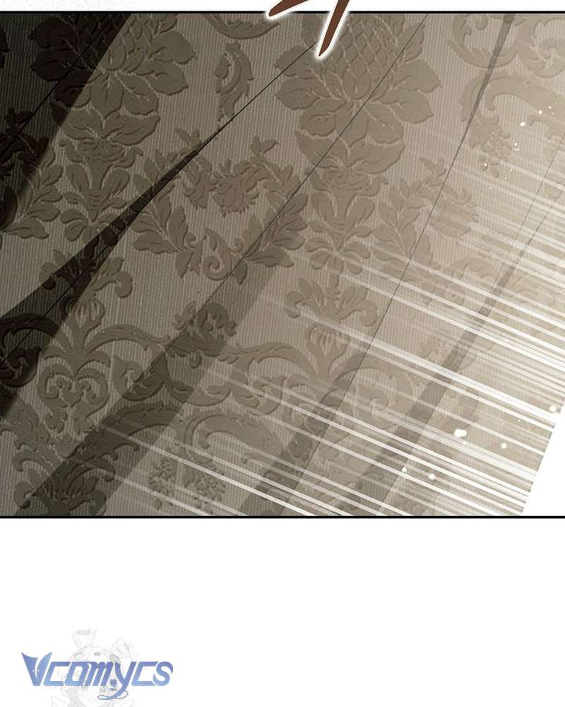 Các Nam Chính Đã Bị Nữ Phụ Cướp Mất Chap 67 - Next Chap 68