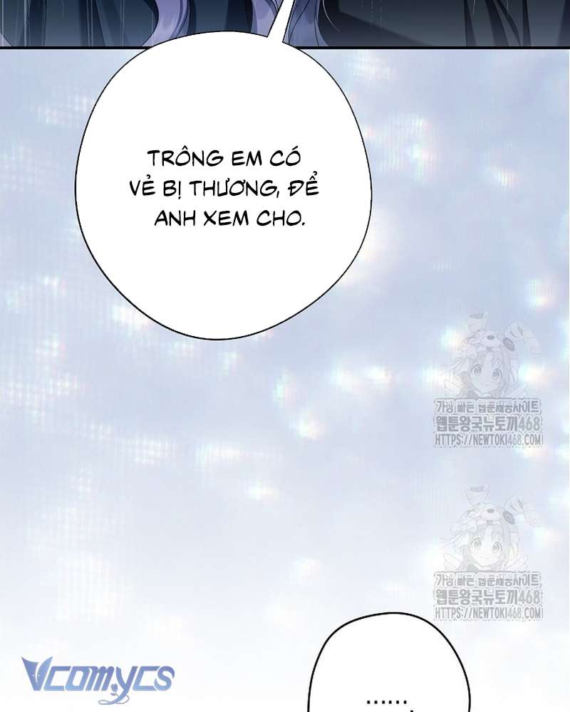 Các Nam Chính Đã Bị Nữ Phụ Cướp Mất Chap 70 - Next Chap 71