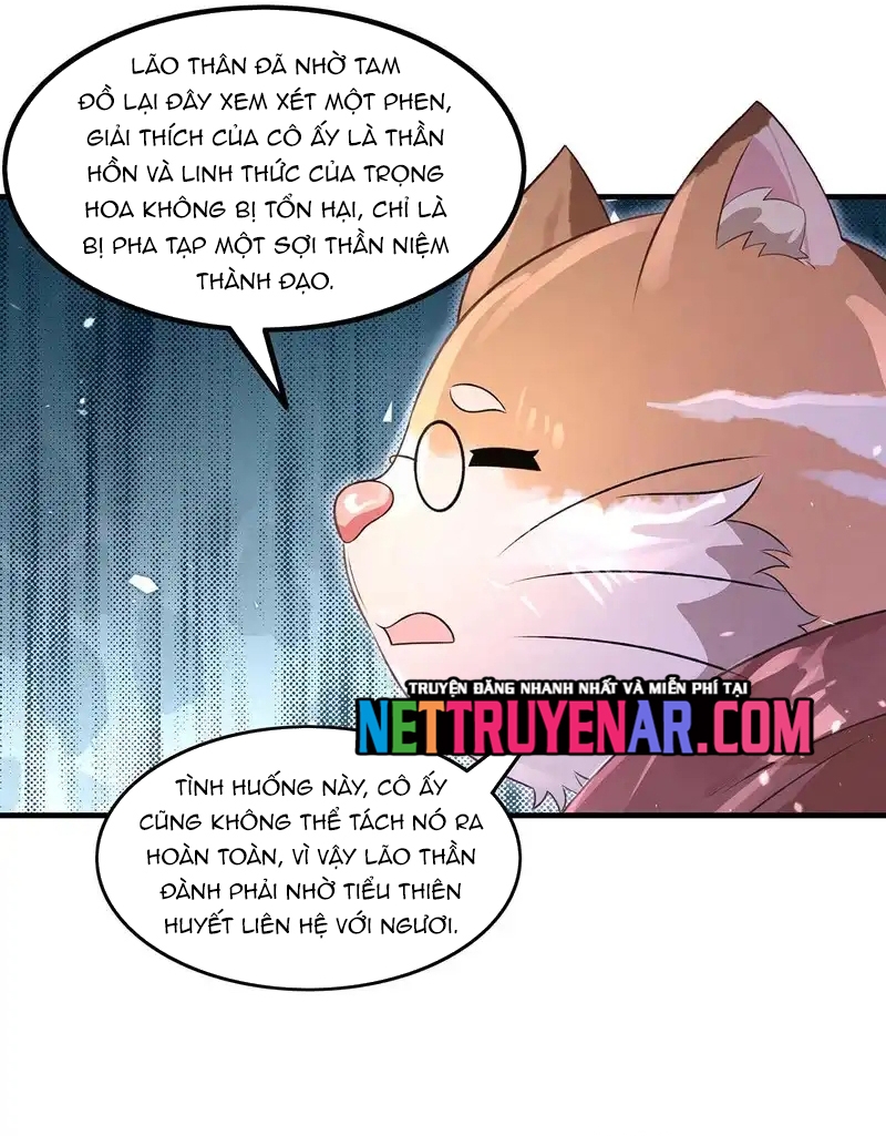 Các Nữ Đồ Đệ Của Ta Đều Là Chư Thiên Đại Lão Tương Lai Chap 368 - Next Chap 369