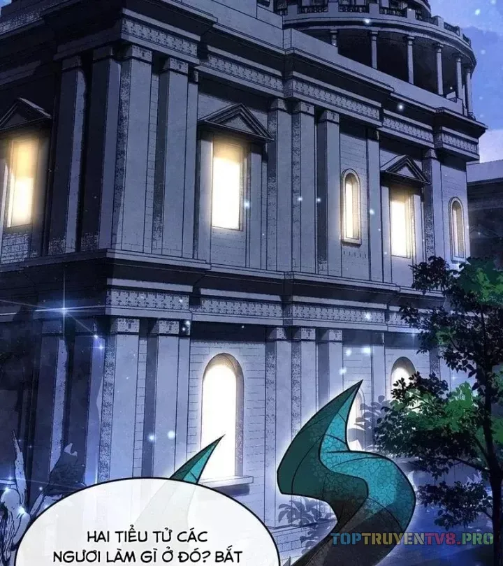 Các Nữ Đồ Đệ Của Ta Đều Là Chư Thiên Đại Lão Tương Lai Chap 388 - Next Chap 389