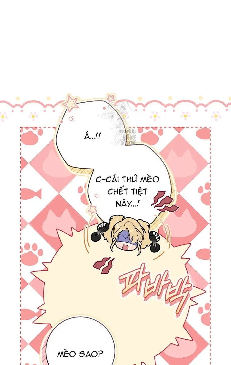 Cách Bước Lên Con Đường Hoa Của Nhân Vật Chính Chap 12 - Next Chap 13