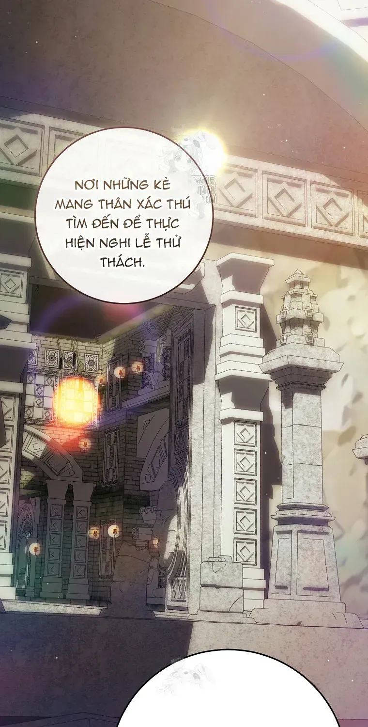 Cách Bước Lên Con Đường Hoa Của Nhân Vật Chính Chap 16 - Next Chap 17