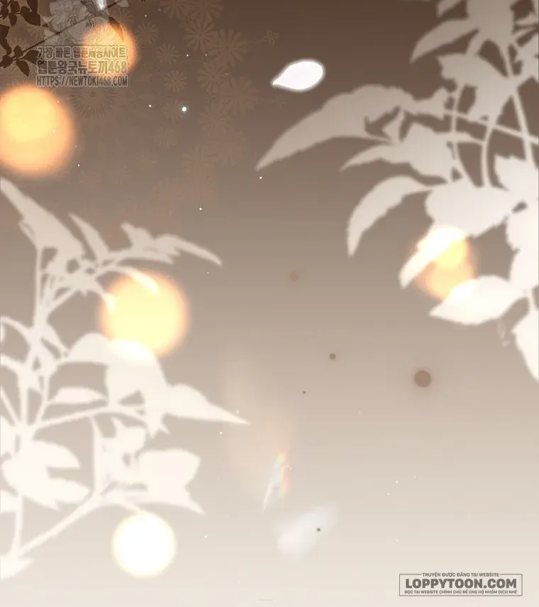 Cách Bước Lên Con Đường Hoa Của Nhân Vật Chính Chap 19 - Next Chap 20