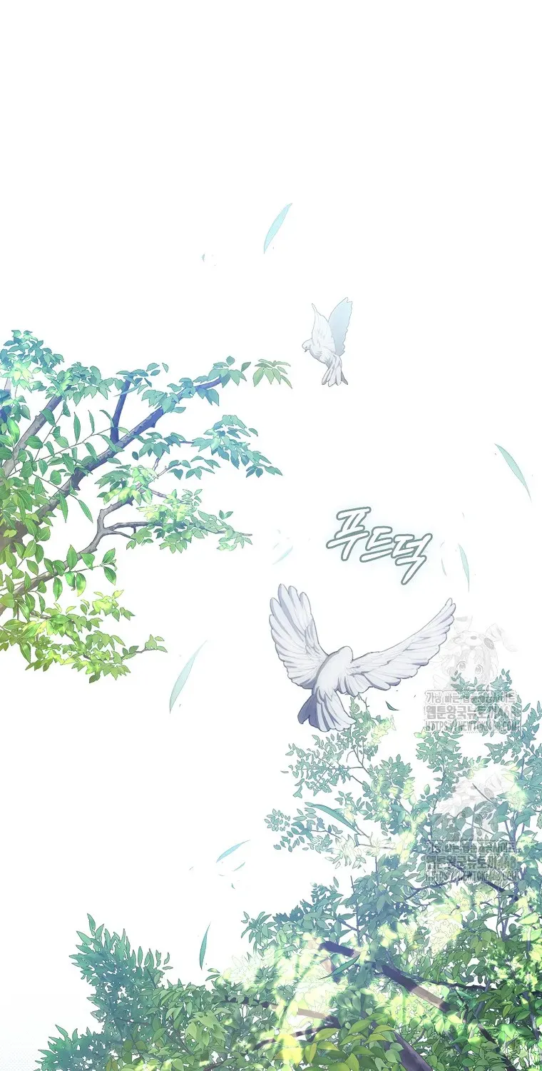 Cách Bước Lên Con Đường Hoa Của Nhân Vật Chính Chap 20 - Next Chap 21