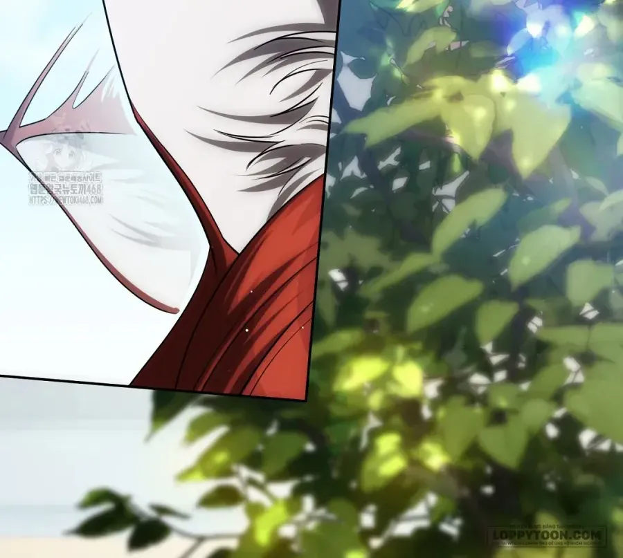 Cách Bước Lên Con Đường Hoa Của Nhân Vật Chính Chap 23 - Next Chap 24
