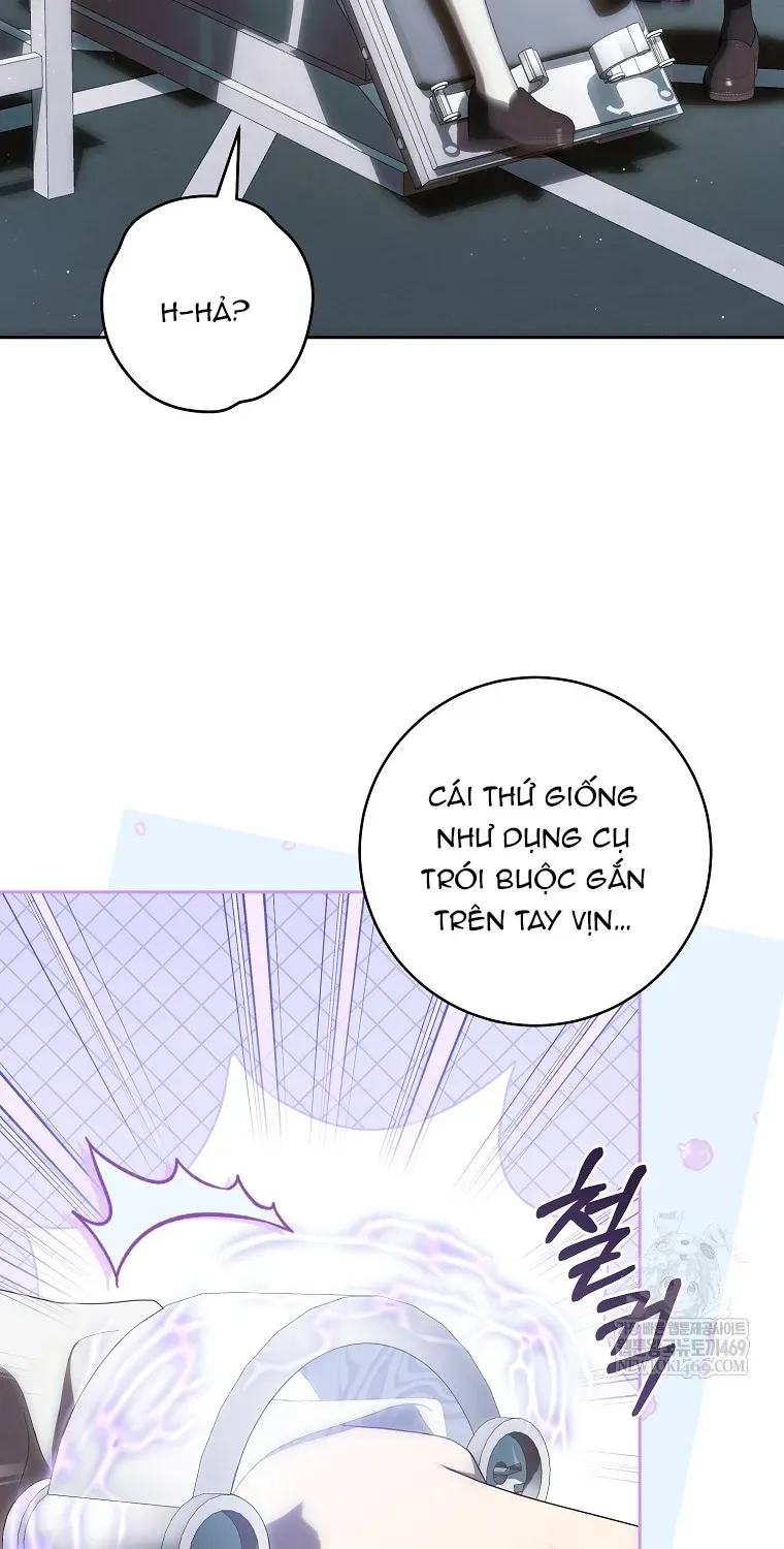 Cách Bước Lên Con Đường Hoa Của Nhân Vật Chính Chap 26 - Next Chap 27